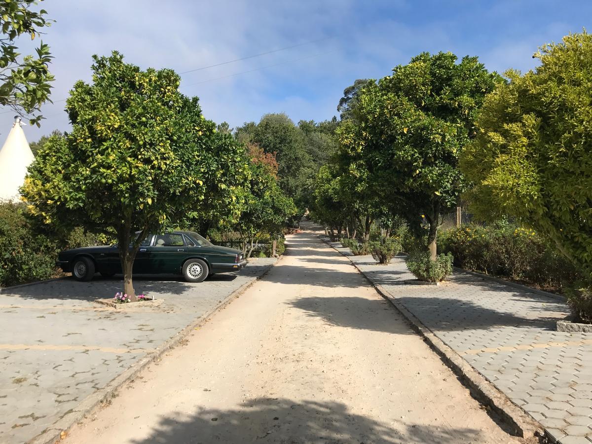 Hostal Quinta Da Fontoura Alquerubim Exterior foto